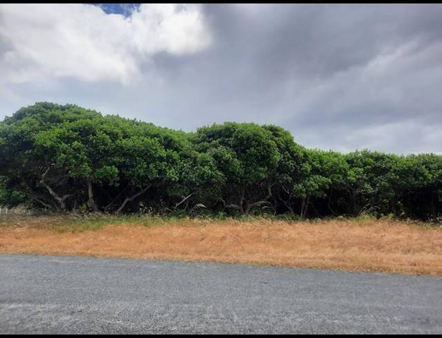 LAND FOR SALE IN KLEINBAAI